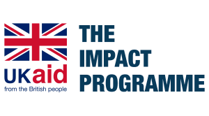 ukaid-the-impact-programme-logo-vector.png